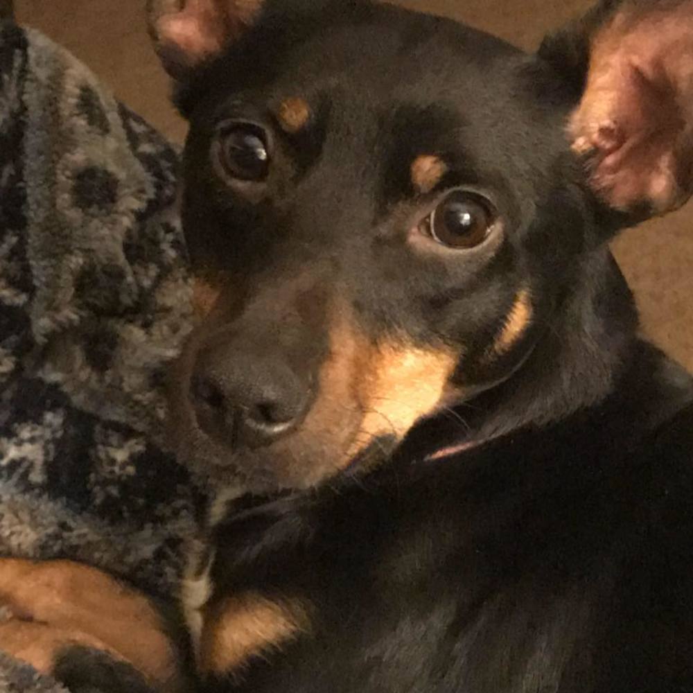 Meet your Posher, Deanna